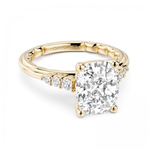 Noam Carver Engagement Ring