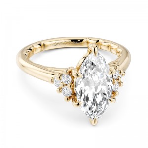 Noam Carver Engagement Ring