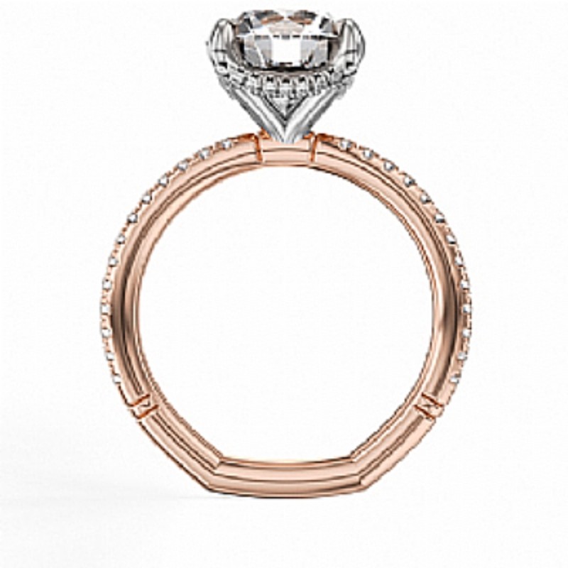 Noam Carver Engagement Ring