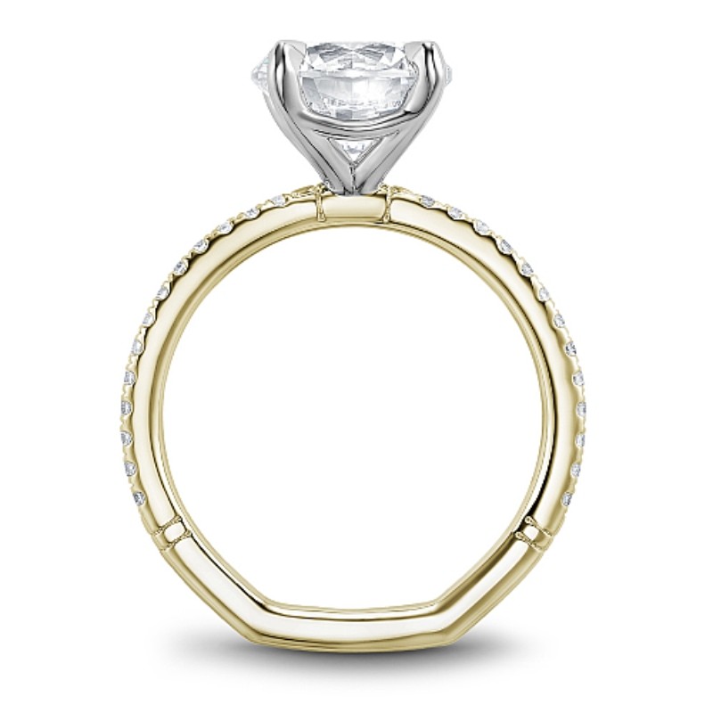 Noam Carver Engagement Ring