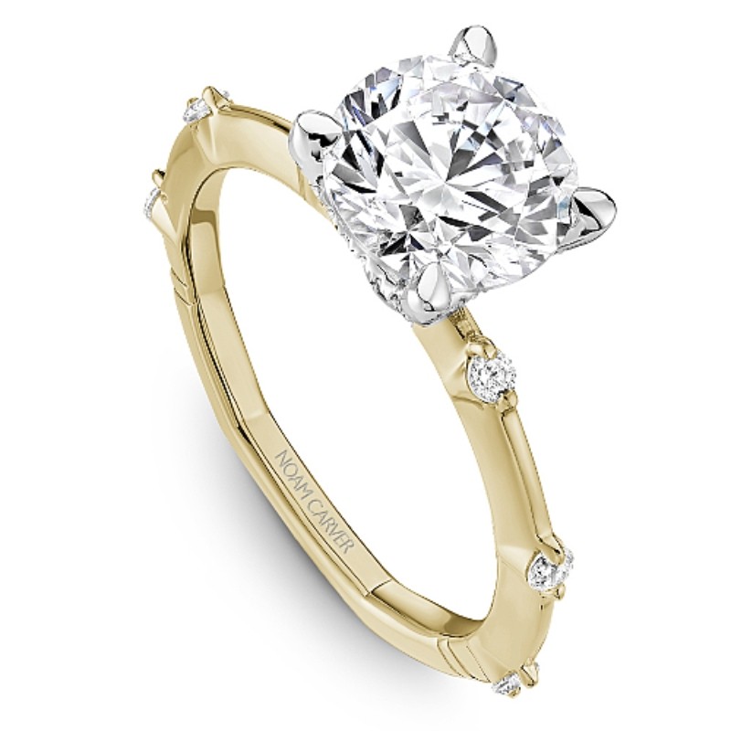 Noam Carver Engagement Ring