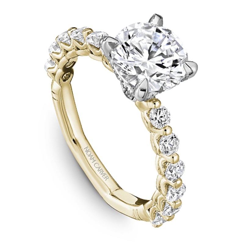 Noam Carver Engagement Ring