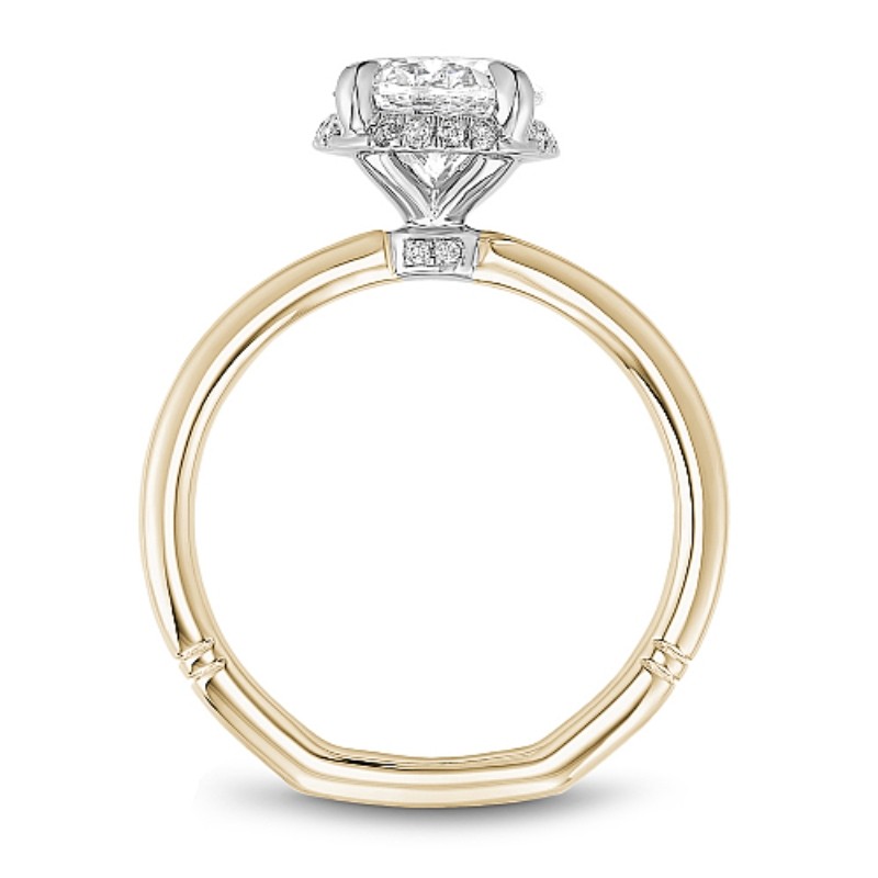 Noam Carver Engagement Ring