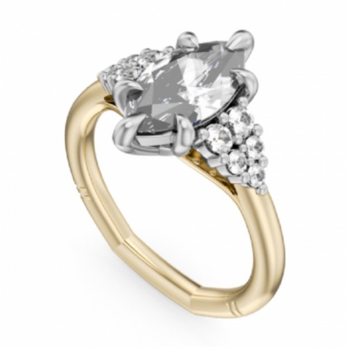 Noam Carver Engagement Ring