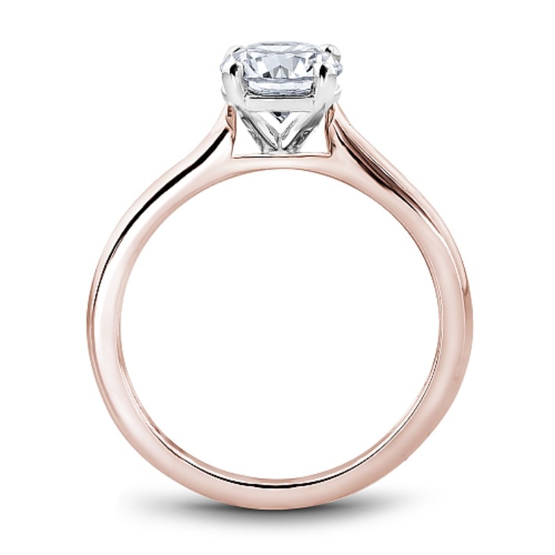 Noam Carver Engagement Ring