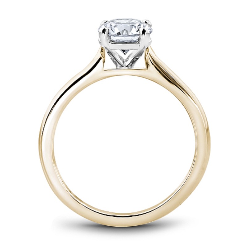 Noam Carver Engagement Ring