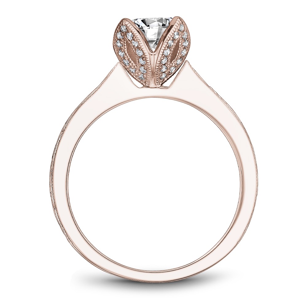 Noam Carver Semi Mount Engagement Ring