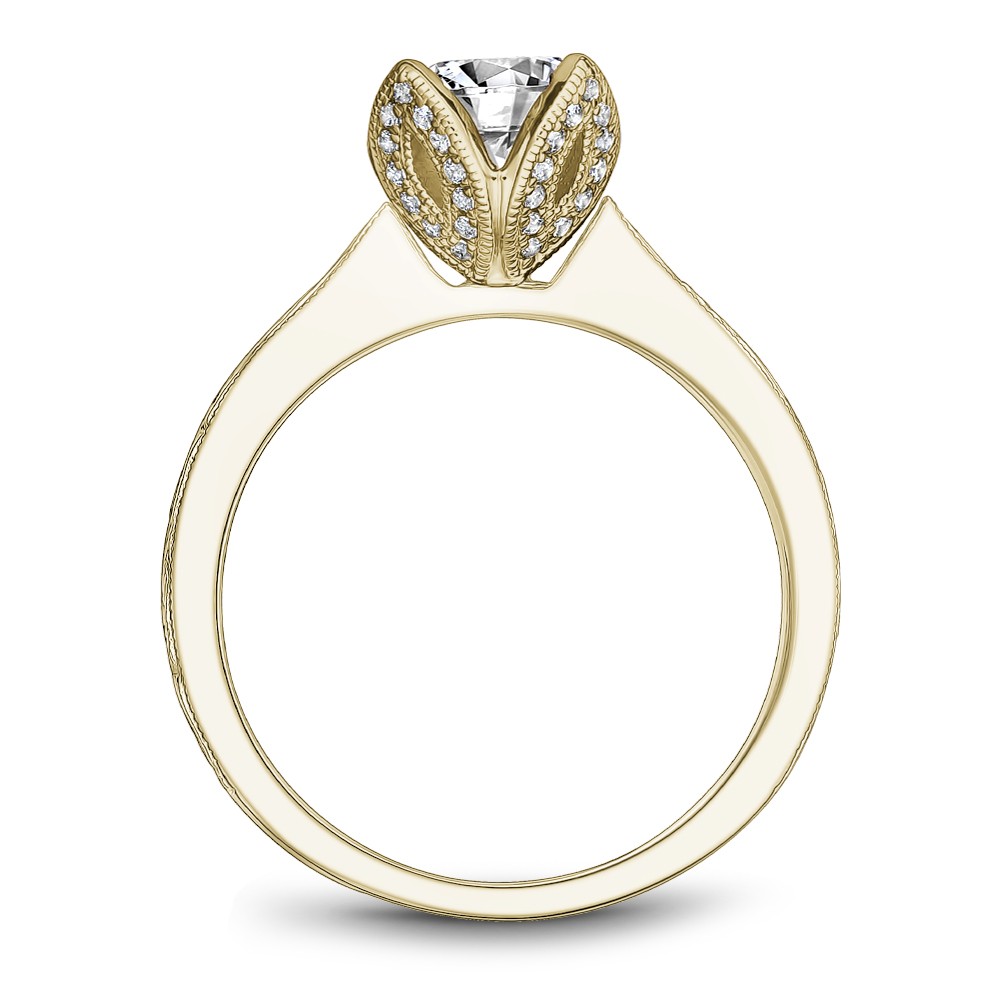 Noam Carver Semi Mount Engagement Ring
