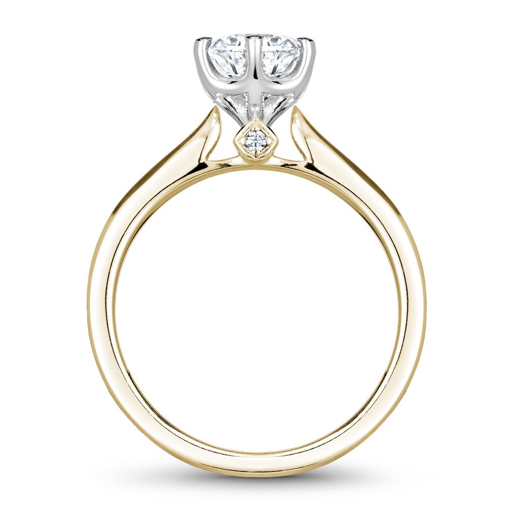 Noam Carver Semi Mount Engagement Ring