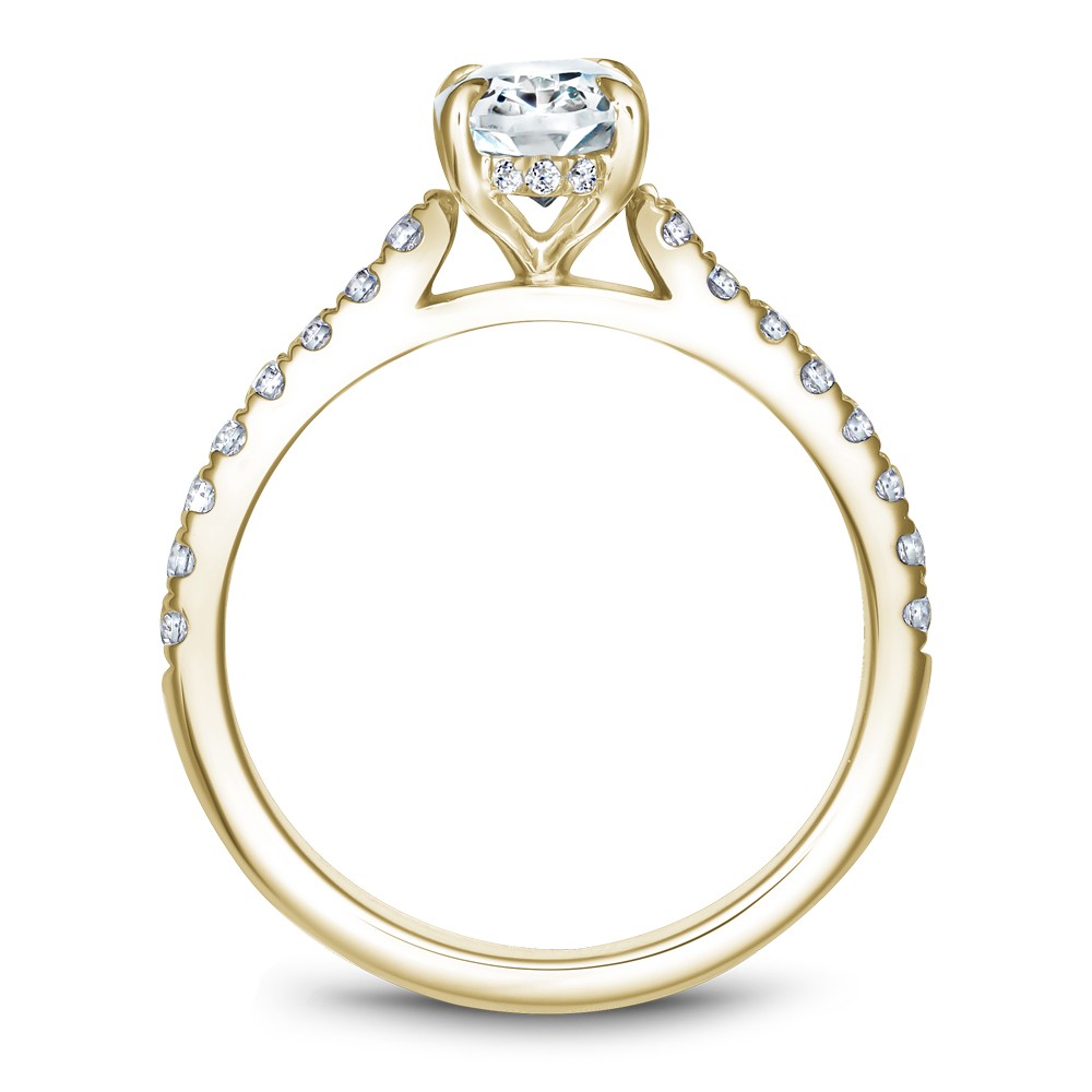 Noam Carver Semi Mount Engagement Ring