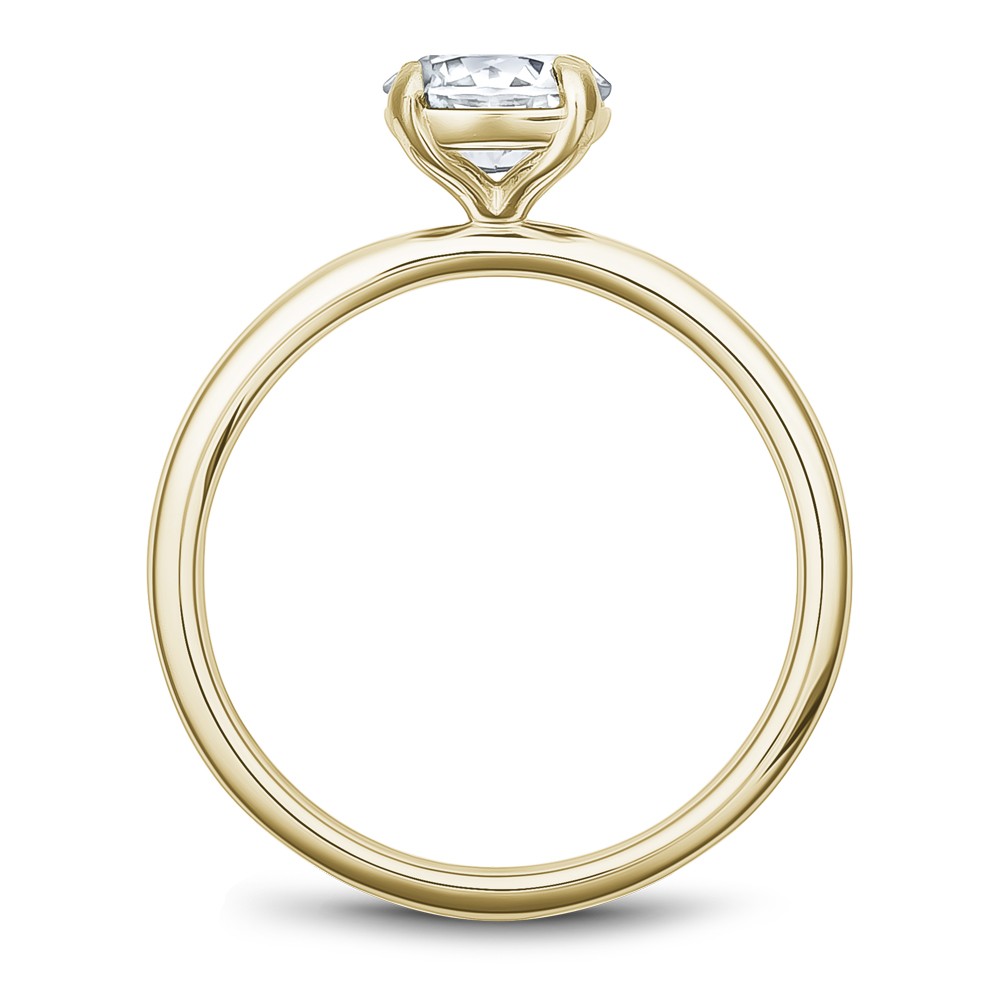 Noam Carver Semi Mount Engagement Ring
