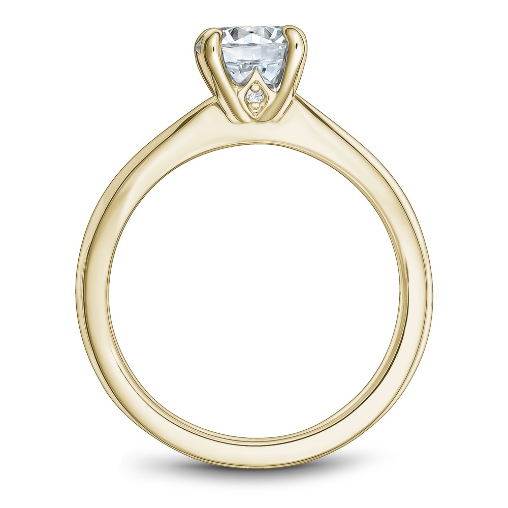 Noam Carver Semi Mount Engagement Ring
