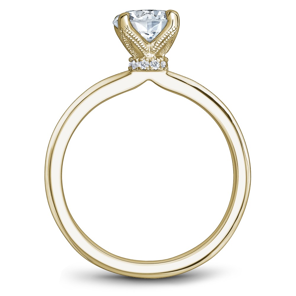 Noam Carver Semi Mount Engagement Ring