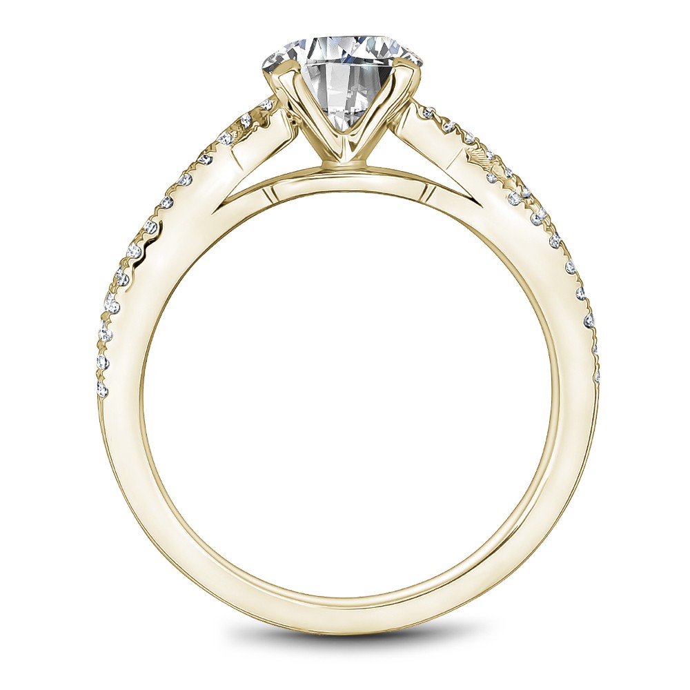 Noam Carver Semi Mount Engagement Ring