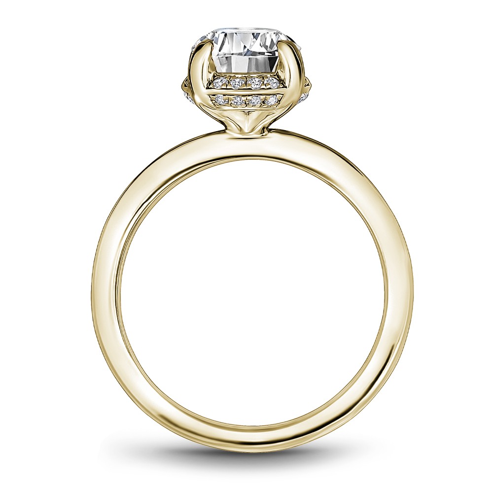 Noam Carver Semi Mount Engagement Ring