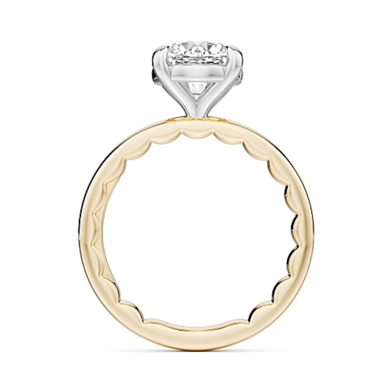 Noam Carver Engagement Ring