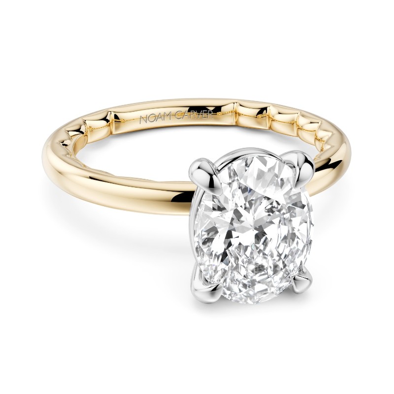 Noam Carver Engagement Ring
