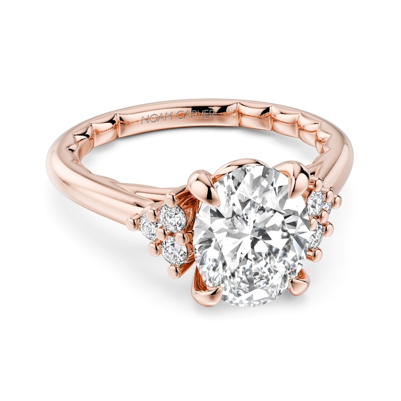 Noam Carver Engagement Ring