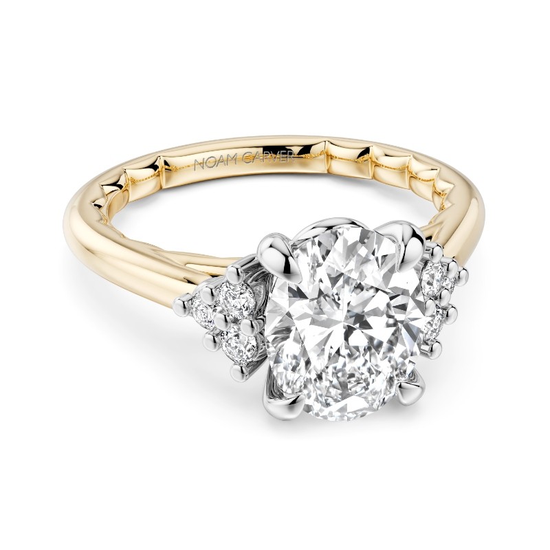 Noam Carver Engagement Ring