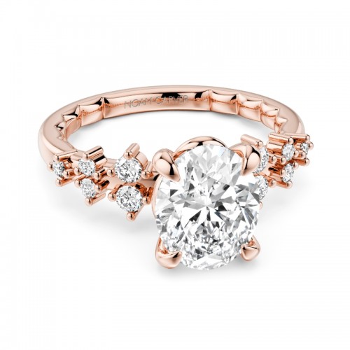 Noam Carver Engagement Ring