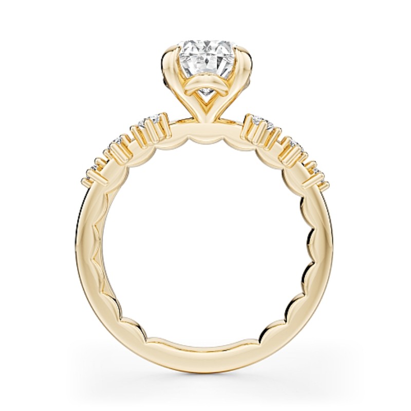 Noam Carver Engagement Ring