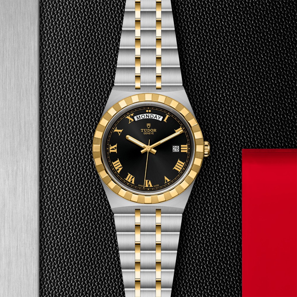 Royal 41Mm Steel Case