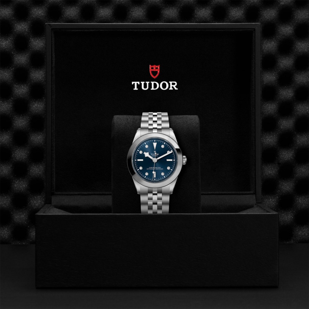 Black Bay 31/36/39/41 39mm Steel Case