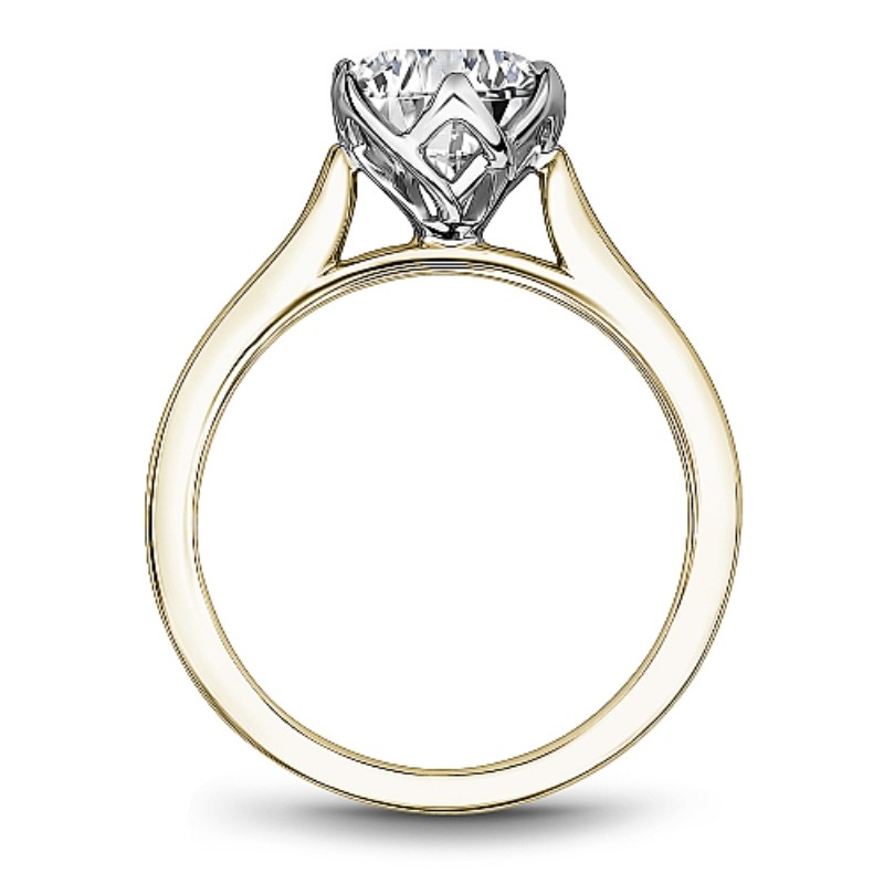Noam Carver Engagement Ring